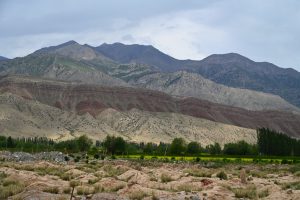 新疆ウィグル自治区・の写真　炎熱の谷から緑の天山へ4-8