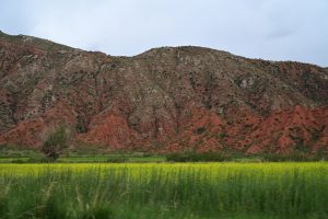 新疆ウィグル自治区・の写真　炎熱の谷から緑の天山へ4-9