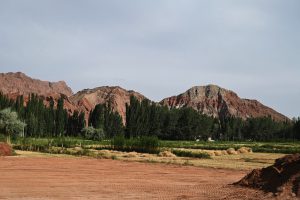 新疆ウィグル自治区・の写真　炎熱の谷から緑の天山へ5-11