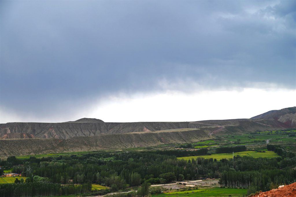 新疆ウィグル自治区・の写真　炎熱の谷から緑の天山へ5-5