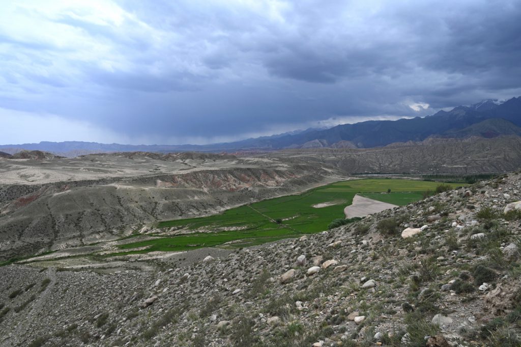 新疆ウィグル自治区・の写真　炎熱の谷から緑の天山へ6-3