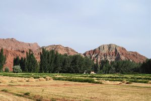 新疆ウィグル自治区・の写真　炎熱の谷から緑の天山へ6-6