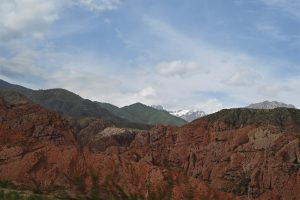 新疆ウィグル自治区・の写真　炎熱の谷から緑の天山へ6-8