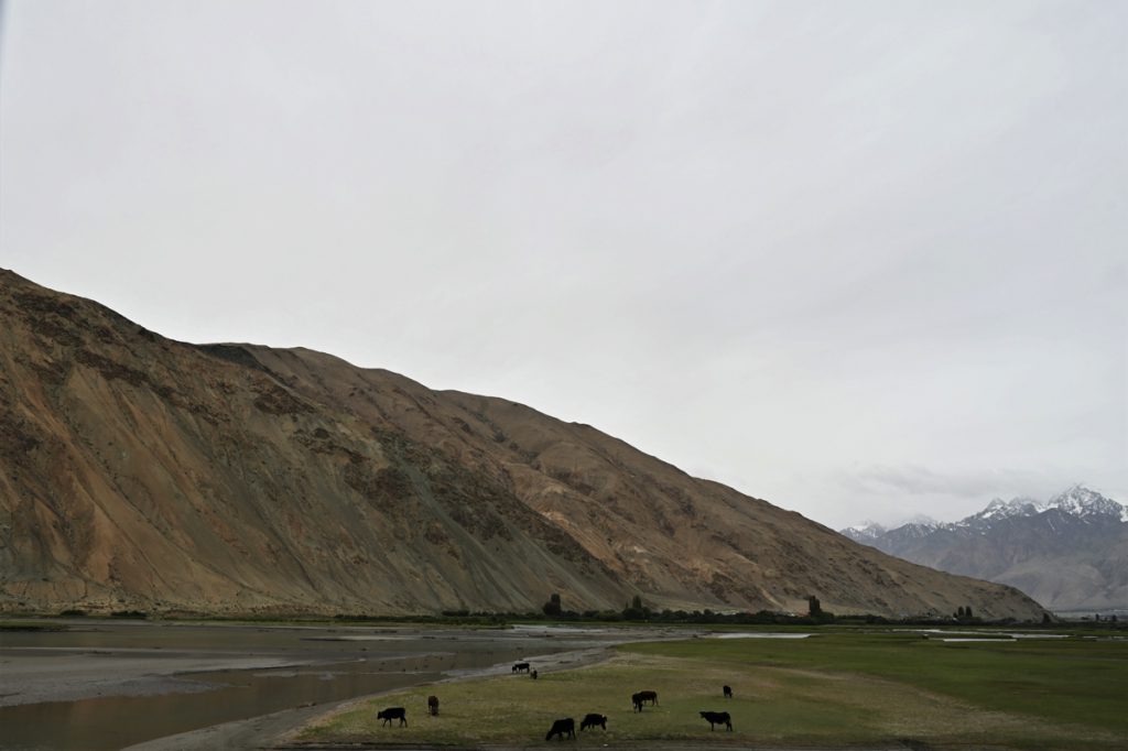 新疆ウィグル自治区・の写真　世界の屋根と氷河2-3