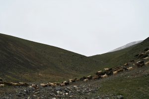 新疆ウィグル自治区・の写真　世界の屋根と氷河4-9