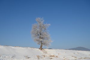吉林省・の写真　冬の恋情その1-11-6