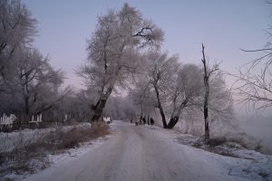 吉林省・の写真　冬の恋情その1-5-9