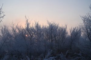 吉林省・の写真　冬の恋情その1-6-8