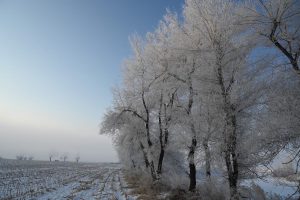吉林省・の写真　冬の恋情その1-9-9
