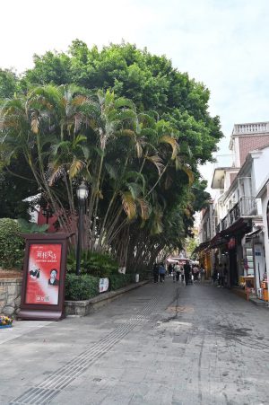 福建省・厦門（アモイ）と鼓浪嶼（クランユ）の写真　近代史路地裏散歩6-10