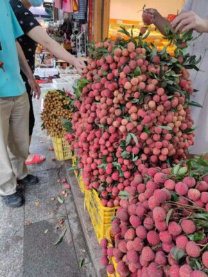 香港・マカオ・広東省・の写真　珠江デルタと赤坎（チーカン）鎮3-10