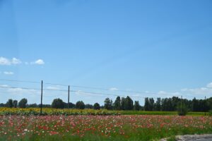 甘粛省・の写真　シルクロードの祈り3-7