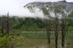 四川省・の写真　四姑娘山（スクニャン山）の渓谷を歩き中路蔵寨を訪ねる2-8