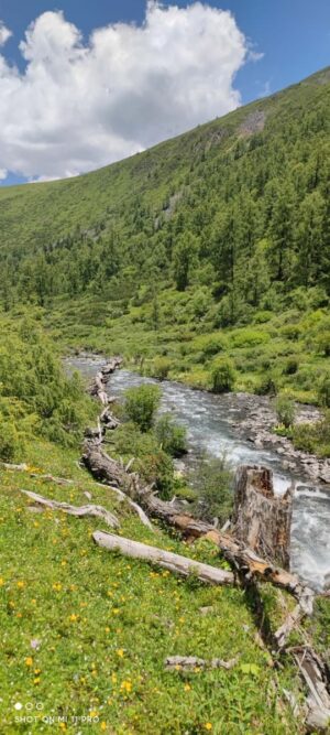 四川省・甲玉拉措、玉科草原、墨石公園、雅安碧峰峡、蒙頂山の写真 甲玉拉措と玉科草原からパンダとお茶の故郷へ-7