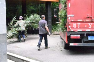 四川省・の写真 甲玉拉措と玉科草原からパンダとお茶の故郷へ5-10