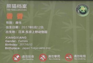 四川省・の写真 甲玉拉措と玉科草原からパンダとお茶の故郷へ5-11