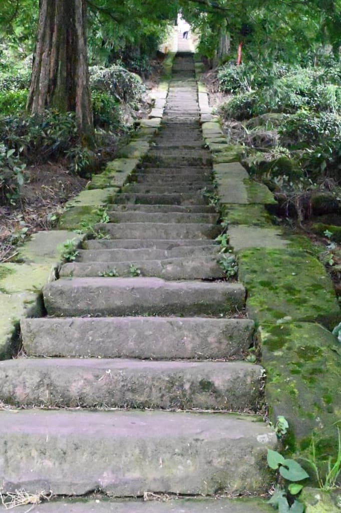 四川省・の写真 甲玉拉措と玉科草原からパンダとお茶の故郷へ6-3