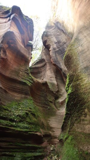 陝西省・の写真 岩と光の夢の回廊3-10