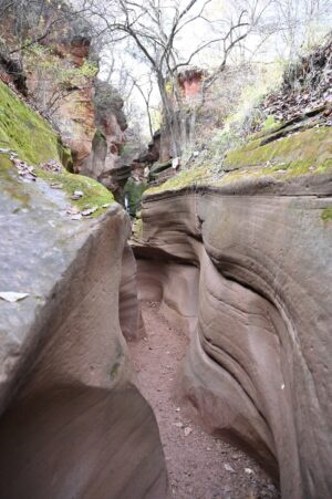 陝西省・の写真 岩と光の夢の回廊3-7
