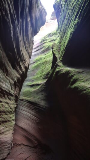 陝西省・の写真 岩と光の夢の回廊3-8