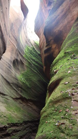 陝西省・の写真 岩と光の夢の回廊3-9