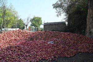 陝西省・の写真 岩と光の夢の回廊9-10