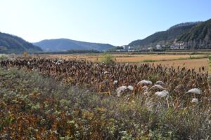 陝西省・の写真 岩と光の夢の回廊9-7