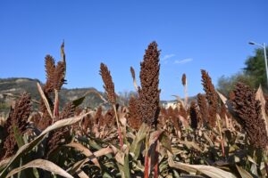 陝西省・の写真 岩と光の夢の回廊9-8